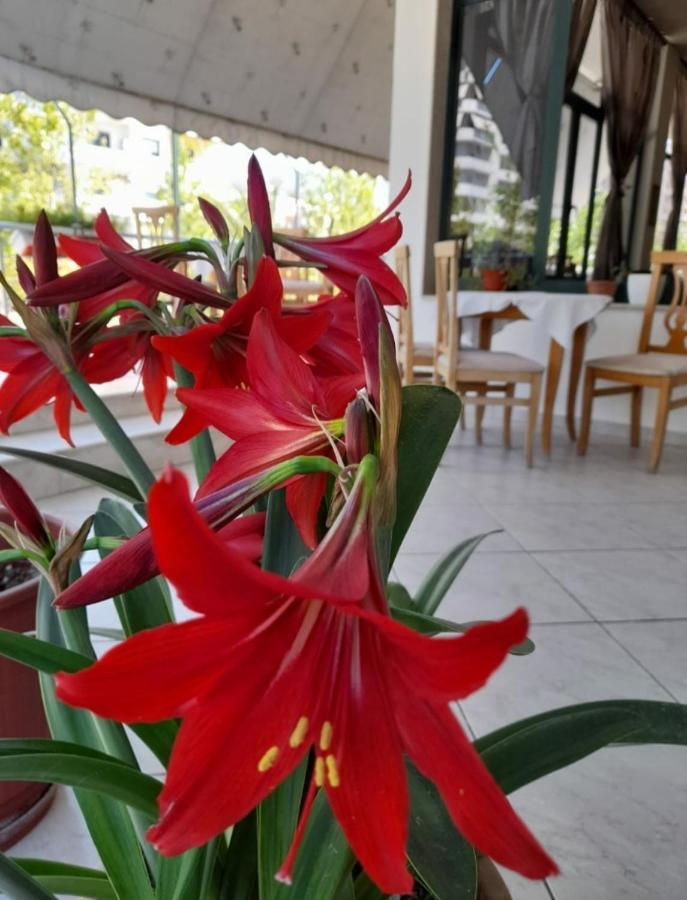 Hotel Rossi Vlorë Extérieur photo